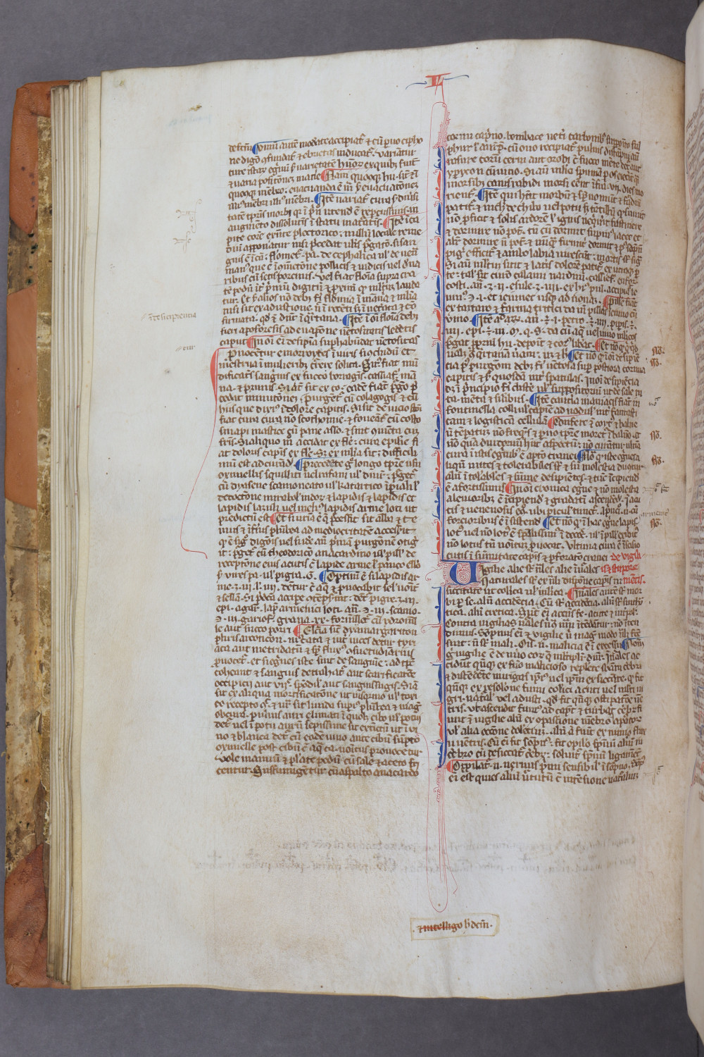 Folio 47 verso